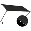 vidaXL Auvent rétractable avec LED 250x150 cm Anthracite