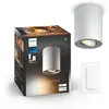 Philips Hue White Ambiance PILLAR Spot 1x5.5W - Blanc (télécommande incluse)
