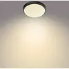 Philips Doris badkamer plafondlamp - zwart - groot - 17 W