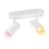 WiZ Spots Connecté Wi-Fi couleur IMAGEO 2x5W 22-65K, Blanc