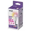 Wiz STANDARD-Ampoule LED connectée E14 4.9W=40W 470lm change de couleur Ø4.5cm Blanc