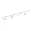 Philips Perifo Kit De Base Pour Plafond, Droit (3 spots)
