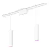 Philips Perifo Kit De Base Pour Plafond, Droit (2 suspensions)