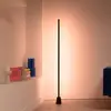 WIZ - Lampe portable Lampadaire Gradient
