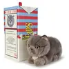 GENERIQUE Freddy le Brittish Shorthair