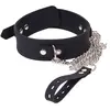 Collier et laisse Deluxe Collar Noir 