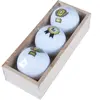 Balles de golf Legend Beker 1 (x3) Blanc TU WS9900124
