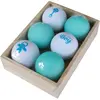 Balles de golf Legend Boy (x6) Blanc TU WS9900128