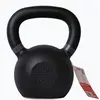 Pure2improve Kettlebell Iron Cast 16kg