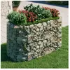 vidaXL Lit surélevé à gabion Fer galvanisé 200x100x100 cm