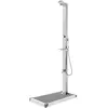 vidaXL Douche de jardin avec base gris 225 cm Acier inoxydable