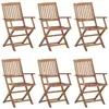 vidaXL Vidaxl Chaises Pliables D'extérieur Lot De 6 Bois D'acacia Solide