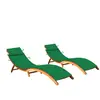 vidaXL Chaises longues 2 pcs avec coussins Bois d'acacia solide