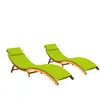 vidaXL Chaises longues 2 pcs avec coussins Bois d'acacia solide