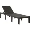 vidaXL Chaise longue plastique anthracite