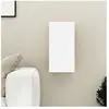 vidaXL Meuble TV Blanc 30,5x30x60 cm Aggloméré