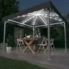 vidaXL Tonnelle avec guirlande lumineuse LED 300x300 cm Anthracite