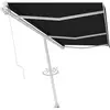 vidaXL Auvent manuel rétractable sur pied 600x300 cm Anthracite