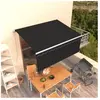 vidaXL Auvent manuel rétractable avec store 3x2,5 m Anthracite