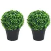 vidaXL Plantes de buis artificiel 2 pcs avec pots Boule Vert 27 cm