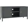 vidaXL Meuble TV Anthracite 105x35x52 cm Acier et verre
