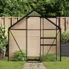 vidaXL Serre Anthracite Aluminium 2,47 m²