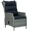 vidaXL Chaise inclinable de jardin coussins Résine tressée Gris clair