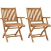 vidaXL Chaises de jardin pliables 2 pcs Bois de teck massif