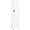vidaXL Armoire à casiers Blanc 38x45x180 cm Acier