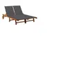 vidaXL Chaise longue de jardin 2 places avec coussins Acacia solide