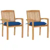 vidaXL Chaises de jardin - Lot de 2 Bleu