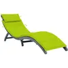 vidaXL Chaise longue avec coussin Gris Bois d'acacia solide