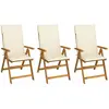 vidaXL Chaises pliables de jardin 3 pcs avec coussins Bois d'acacia