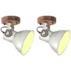 vidaXL Lampe murale industrielle/plafonnier 2 pcs Argenté 20x25 cm E27