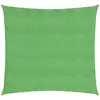 vidaXL Voile d'ombrage 160 g/m² Vert clair 2x2 m PEHD