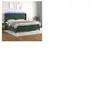 vidaXL Sommier à lattes de lit matelas et LED Vert foncé 200x200 cm