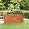vidaXL Lit surélevé de jardin rouillé 160x80x77 cm acier corten