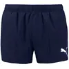 Puma Short De Bain 701224140