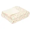 Couverture Fairy Wonders
