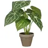 Mica Decorations Plante artificielle caladium 'oreille d'elephant' verte avec pot Ø21x28cm - polyester