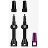 Dynamic Bike Care Soupapes Bar Keeper Tubeless 100 mm