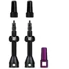 Dynamic bike care Barkeeper Tubeless Valves - Valve tubeless 80 mm