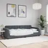 vidaXL Vidaxl Lit De Repos Gris Foncé 80x200 Cm Velours