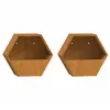 vidaXL Jardinières murales 2 pcs Rouillé Acier corten 30x10x25 cm