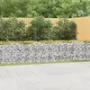 vidaXL Lit surélevé à gabions arqué 800x50x100 cm Fer galvanisé