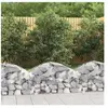 vidaXL Panier de gabions arqué 100x50x40/60 cm Fer galvanisé