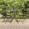 vidaXL Chaises de bistrot pliantes 2 pcs Noir Résine tressée et acier