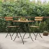 vidaXL Chaises de bistrot pliantes 2 pcs Bois de teck solide et acier