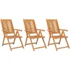 vidaXL Chaises de jardin inclinables 3 pcs bois massif d'acacia