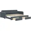 VIDAXL Slaapbank onderschuifbed en lades 90x200 cm fluweel donkergrijs3196978